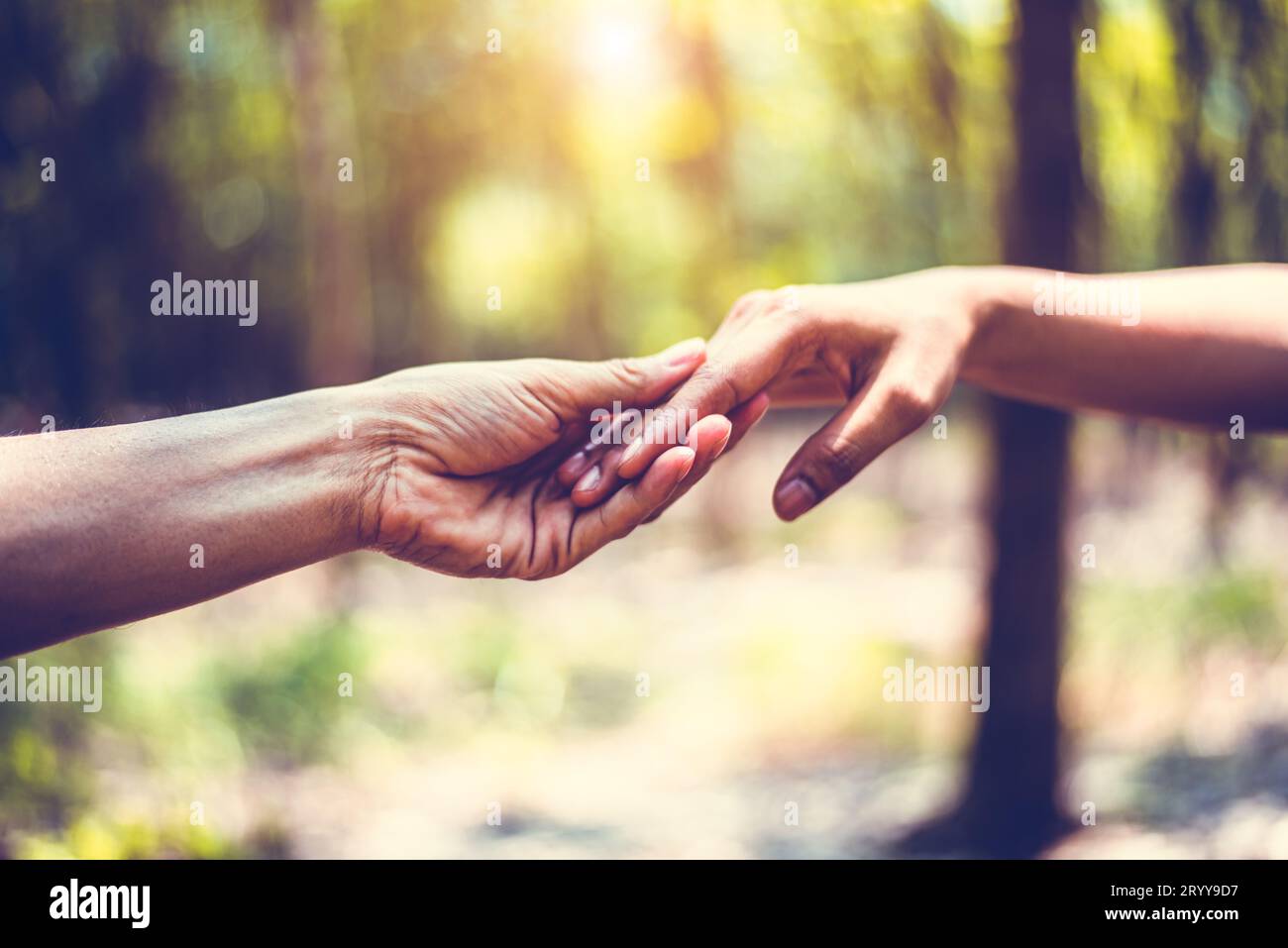 Primo piano sull'aiuto della mano umana durante i viaggi nella foresta. Mano nella mano insieme. Due mani che si tengono per sostenersi a vicenda. Peop Foto Stock