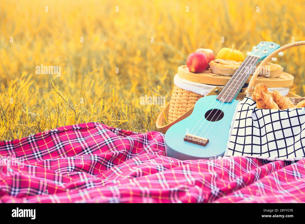 Attrezzatura da picnic nel prato autunnale. Chitarra ukulele, cestino da picnic, pane e frutta su un tappeto da picnic sull'erba. Oggetto e Trav Foto Stock