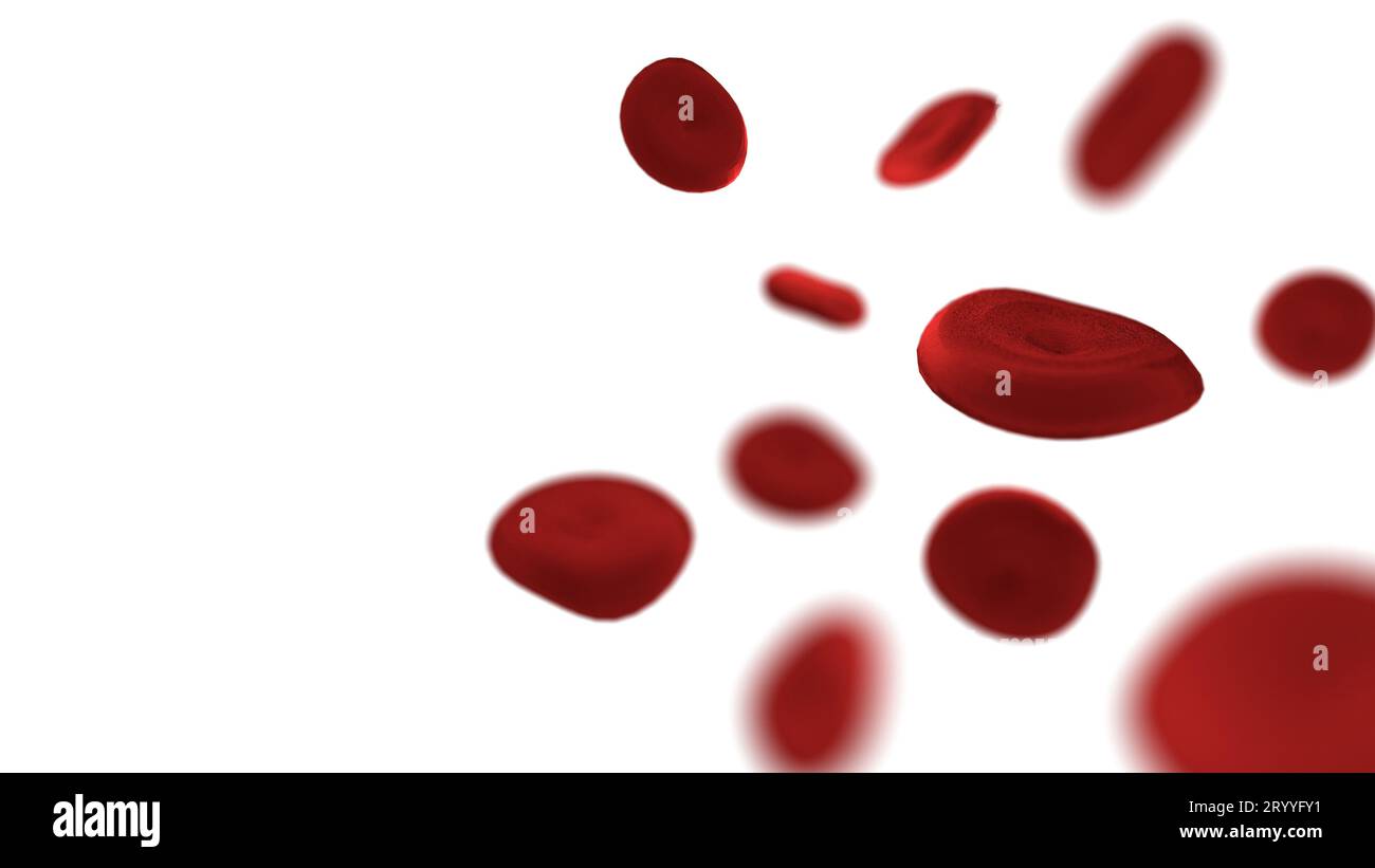 Globuli rossi su sfondo bianco isolato. Concetto medico e sanitario. Emoglobina e parte del tema del corpo. Tema anatomia. Foto Stock