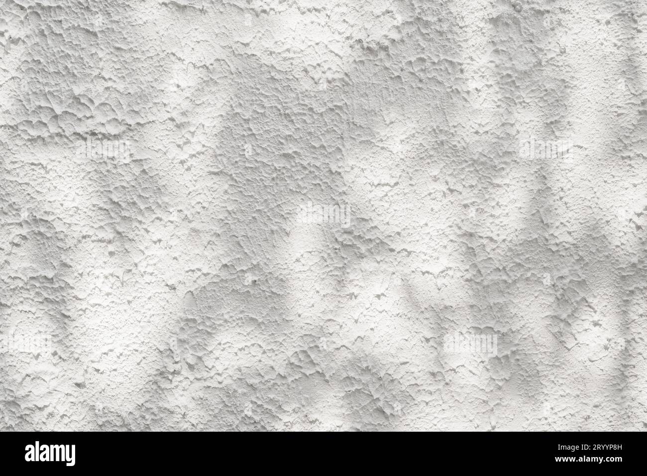 Texture parete in cemento bianco AbstractÂ con ombra silhouette motivo naturale abstract motivo decorativo con effetto sovrapposto a parete fissa Foto Stock