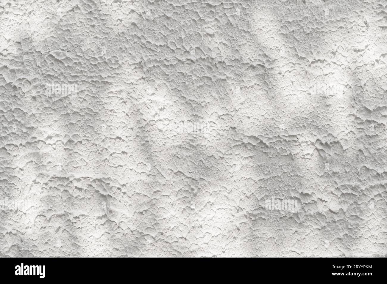 Texture parete in cemento bianco AbstractÂ con ombra silhouette motivo naturale abstract motivo decorativo con effetto sovrapposto a parete fissa Foto Stock