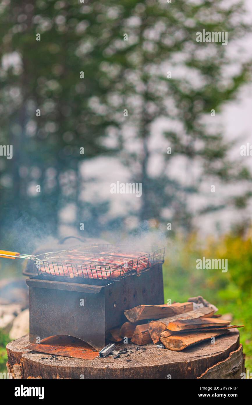 Grigliata da picnic posta su un ceppo su una collina in montagna con nebbia Foto Stock