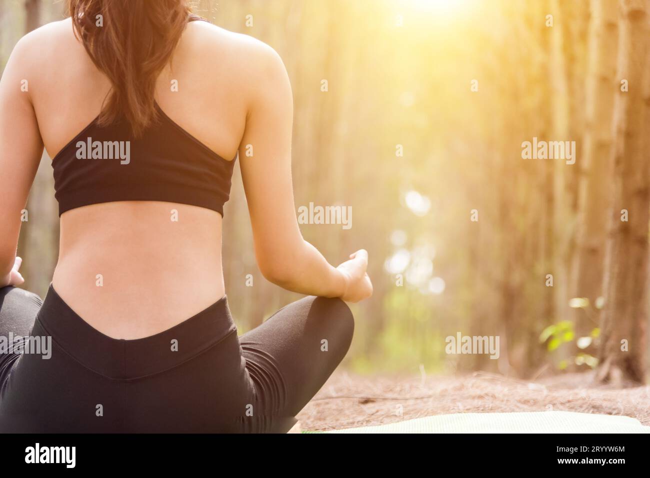 Vista posteriore di una bella donna che fa yoga in posa nella tranquilla foresta naturale. Concetto di stile di vita e meditazione. tr. Sano e mentale Foto Stock
