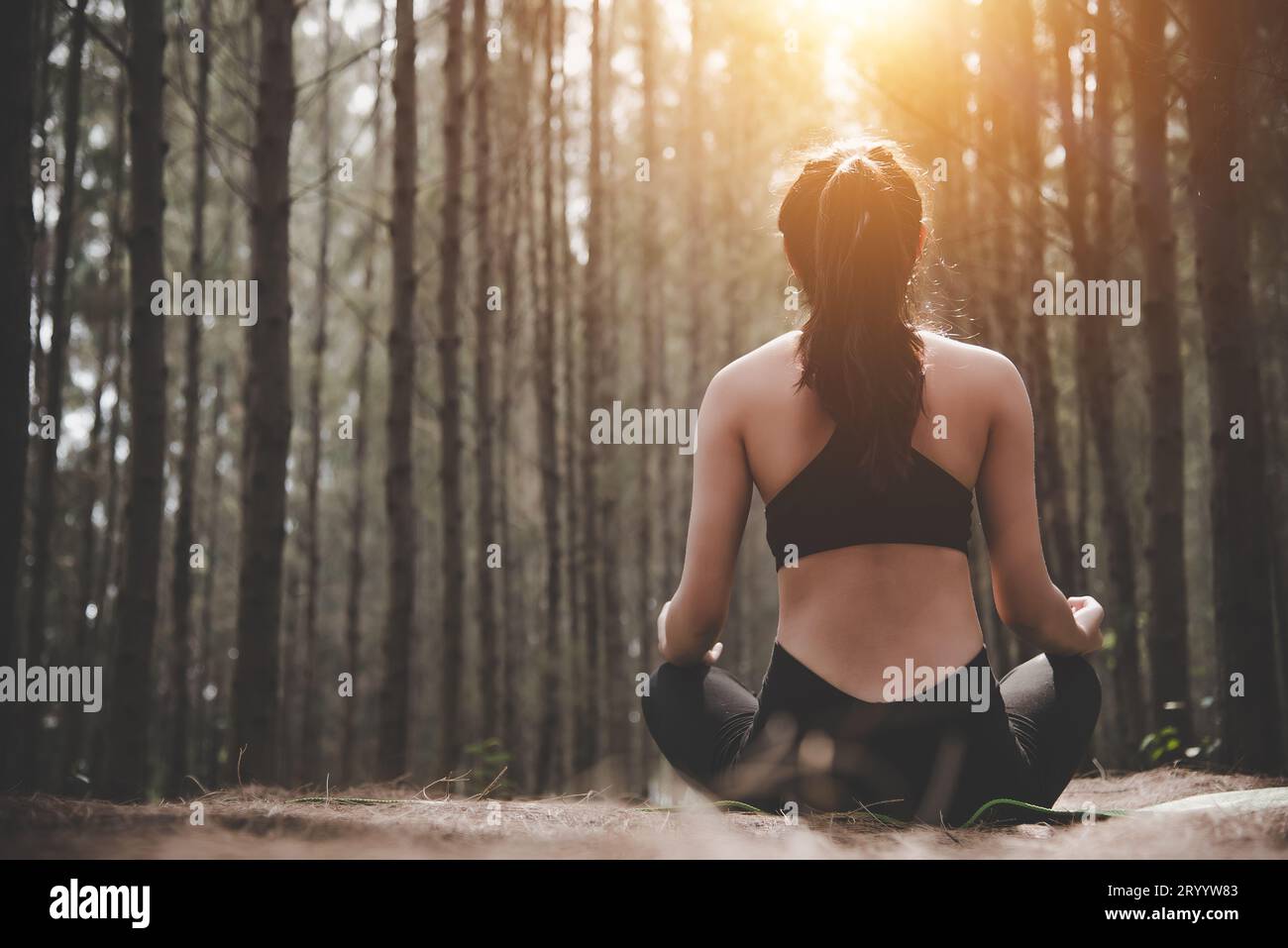 Vista posteriore di una bella donna che fa yoga in posa nella tranquilla foresta naturale. Concetto di stile di vita e meditazione. tr. Sano e mentale Foto Stock