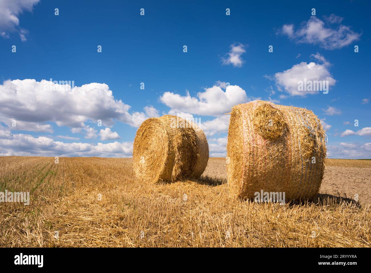 Rotoli di fieno nel campo sullo sfondo di un bel cielo Foto Stock