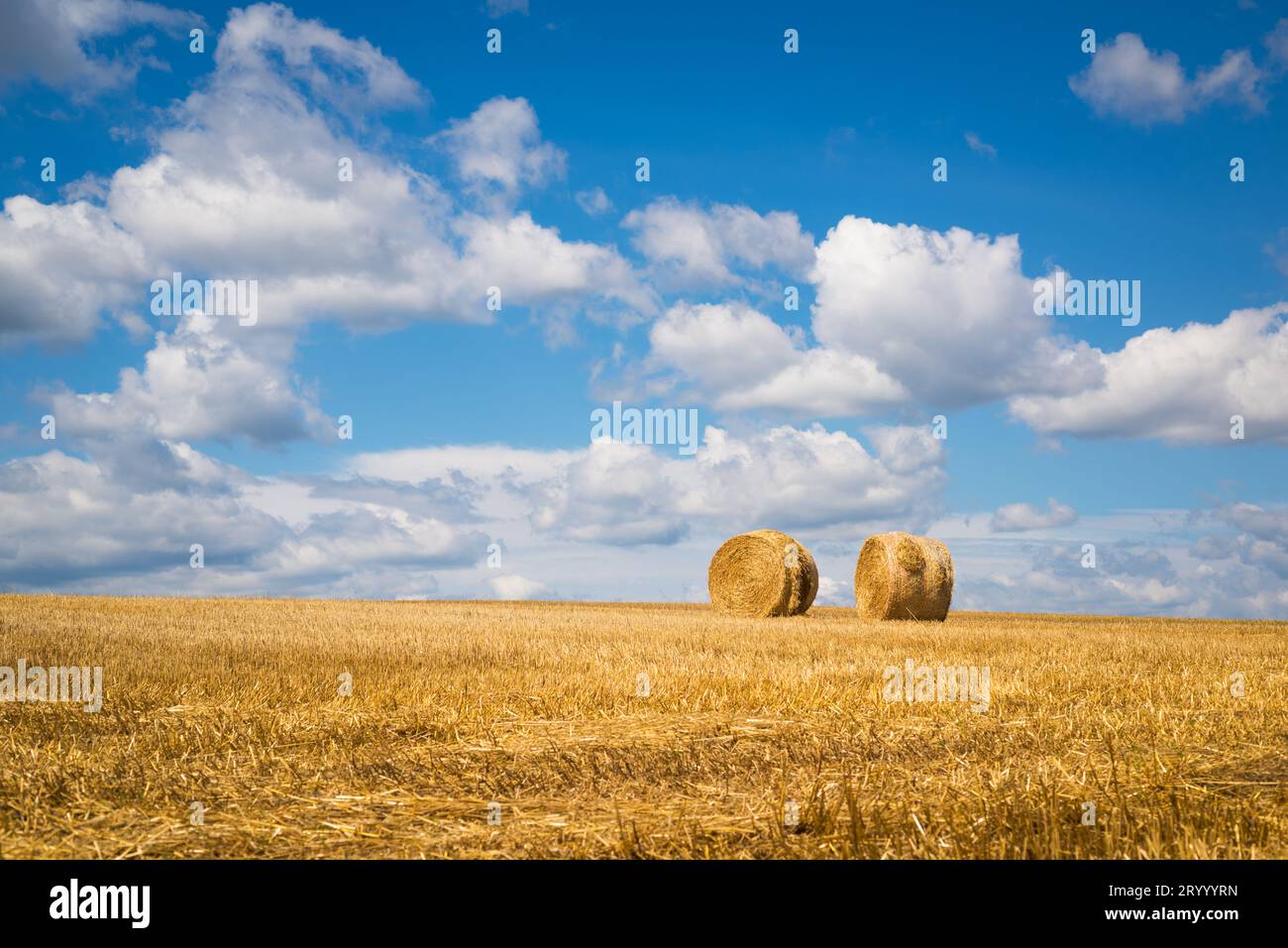 Rotoli di fieno nel campo sullo sfondo di un bel cielo Foto Stock