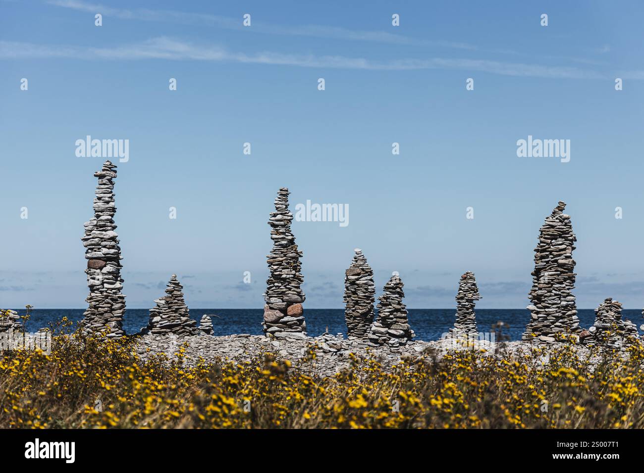 Mare, spiaggia rocciosa e fiori gialli Foto Stock