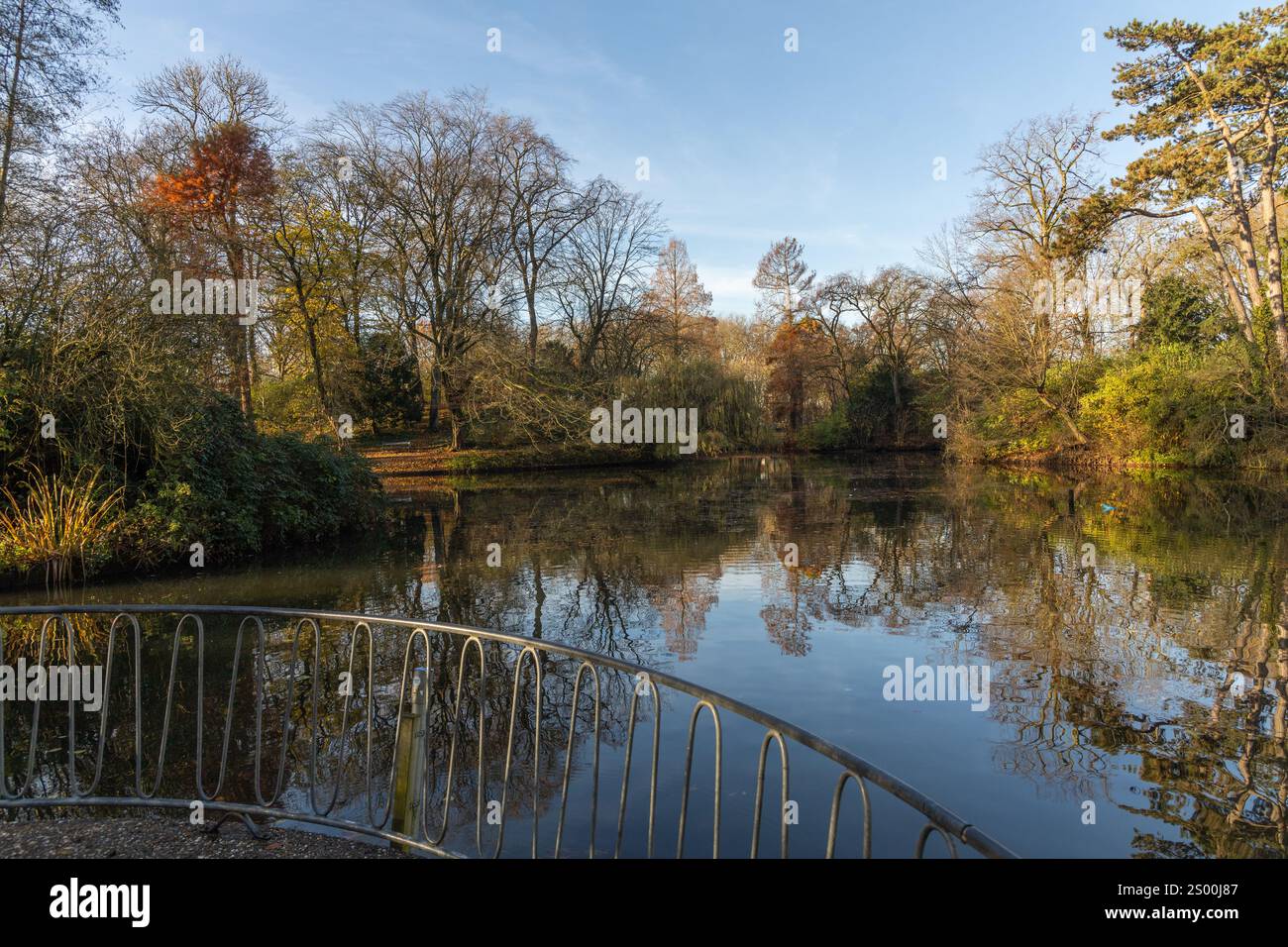 Julianapark a Utrecht, Paesi Bassi. Il Juliana Park è un romantico parco cittadino con molti alberi secolari. E' un popolare parco cittadino che e' affollato tutto l'anno Foto Stock