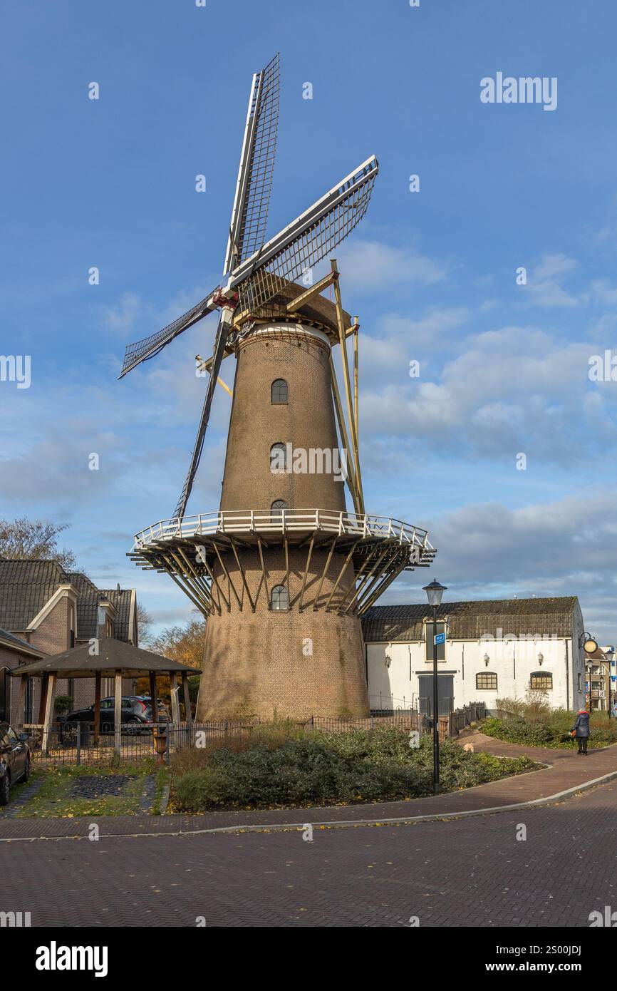 Culemborg Mill 'De Hoop' il mulino De Hoop è un mulino per affumicatura costruito nel 1854. Foto Stock