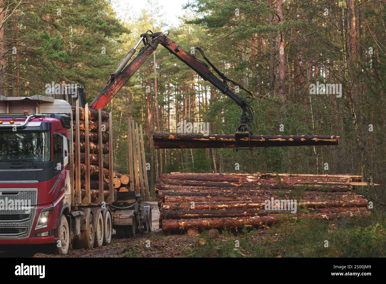 Un autocarro rosso per tronchi viene caricato con tronchi da una gru meccanica in una foresta. L'immagine mostra il carrello a sinistra, una pila di tronchi a destra, a. Foto Stock