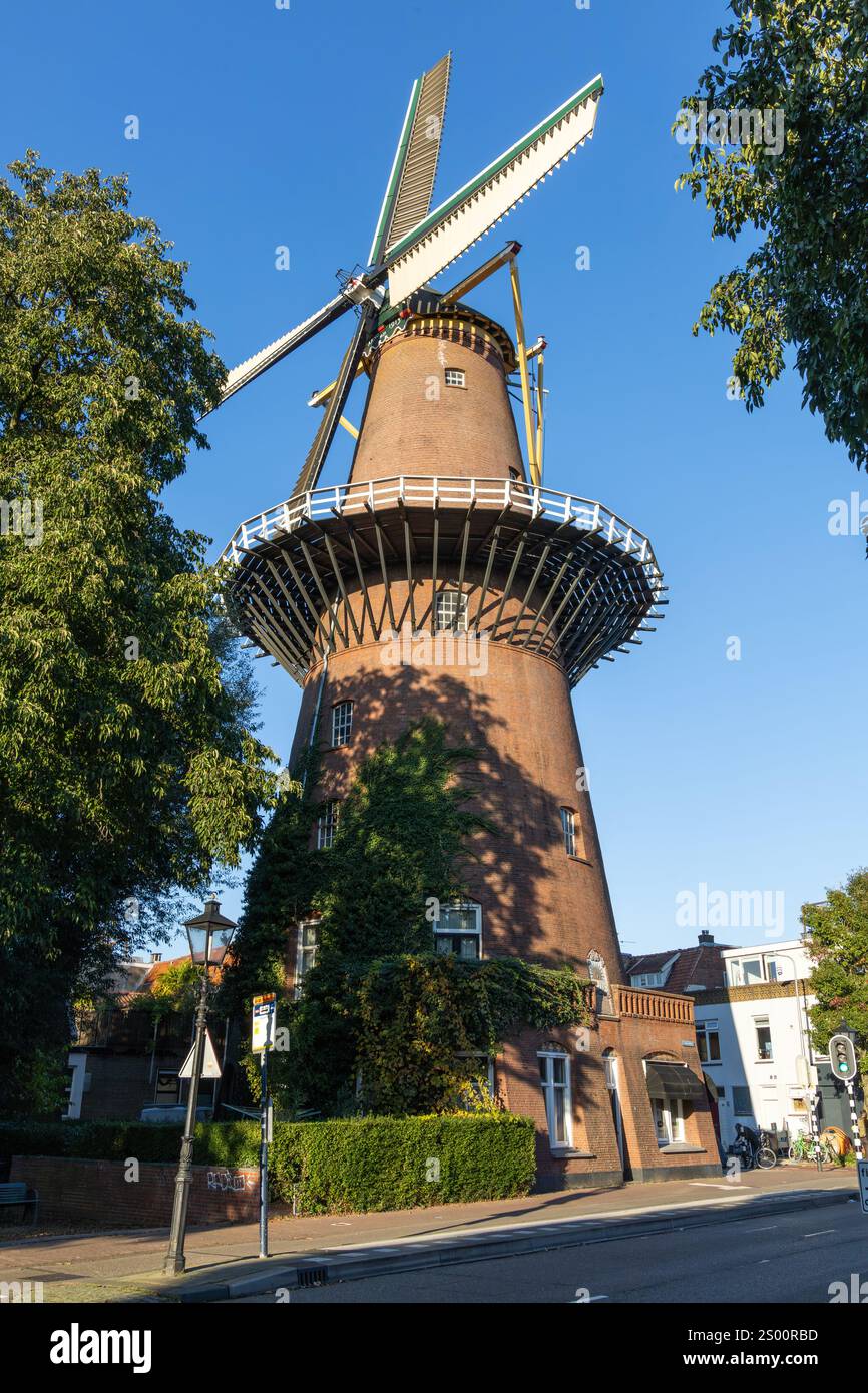 Mulino il "Molen Rijn en Zon" è un mulino di mais all'angolo della strada nel quartiere Vogelenbuurt di Utrecht. Foto Stock