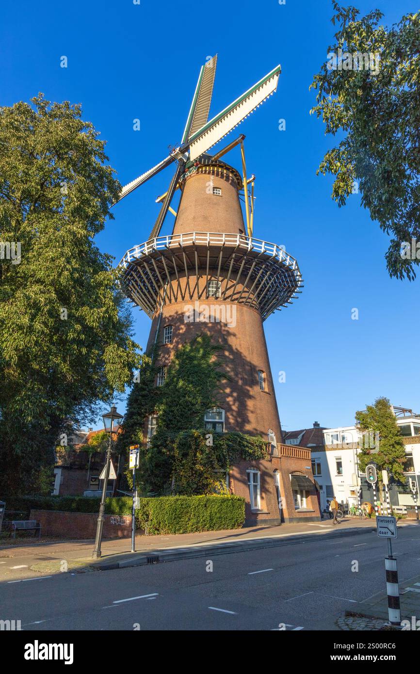 Utrecht, Paesi Bassi, 3 novembre 2024. Mulino il "Molen Rijn en Zon" è un mulino di mais all'angolo della strada nel quartiere Vogelenbuurt di Utrec Foto Stock