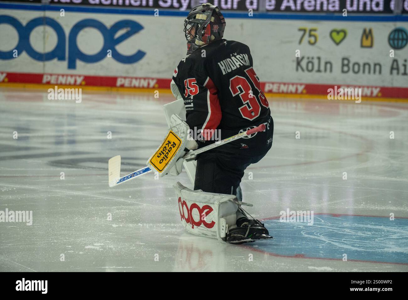 11.10.2024, DEL, German Ice Hockey League stagione 2024/25, 29. Giorno della partita: Kölner Haie contro le tigri straubing foto: Julius Hudacek (35, Colonia) Foto Stock