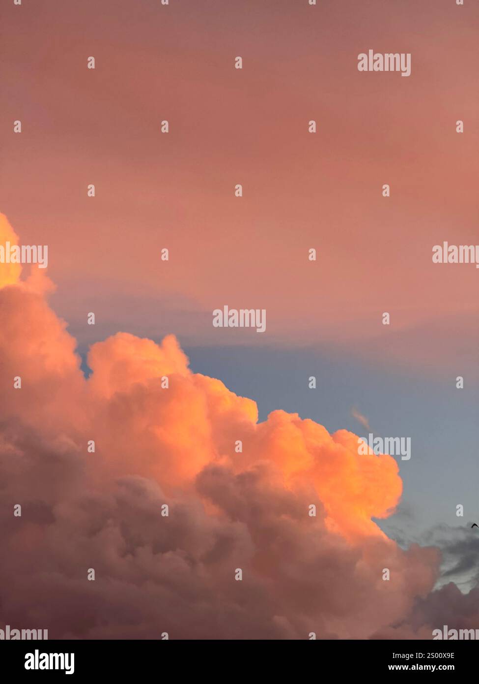 Alcune foto degli ultimi mesi in Italia - Immagine stock catturata con smartphone