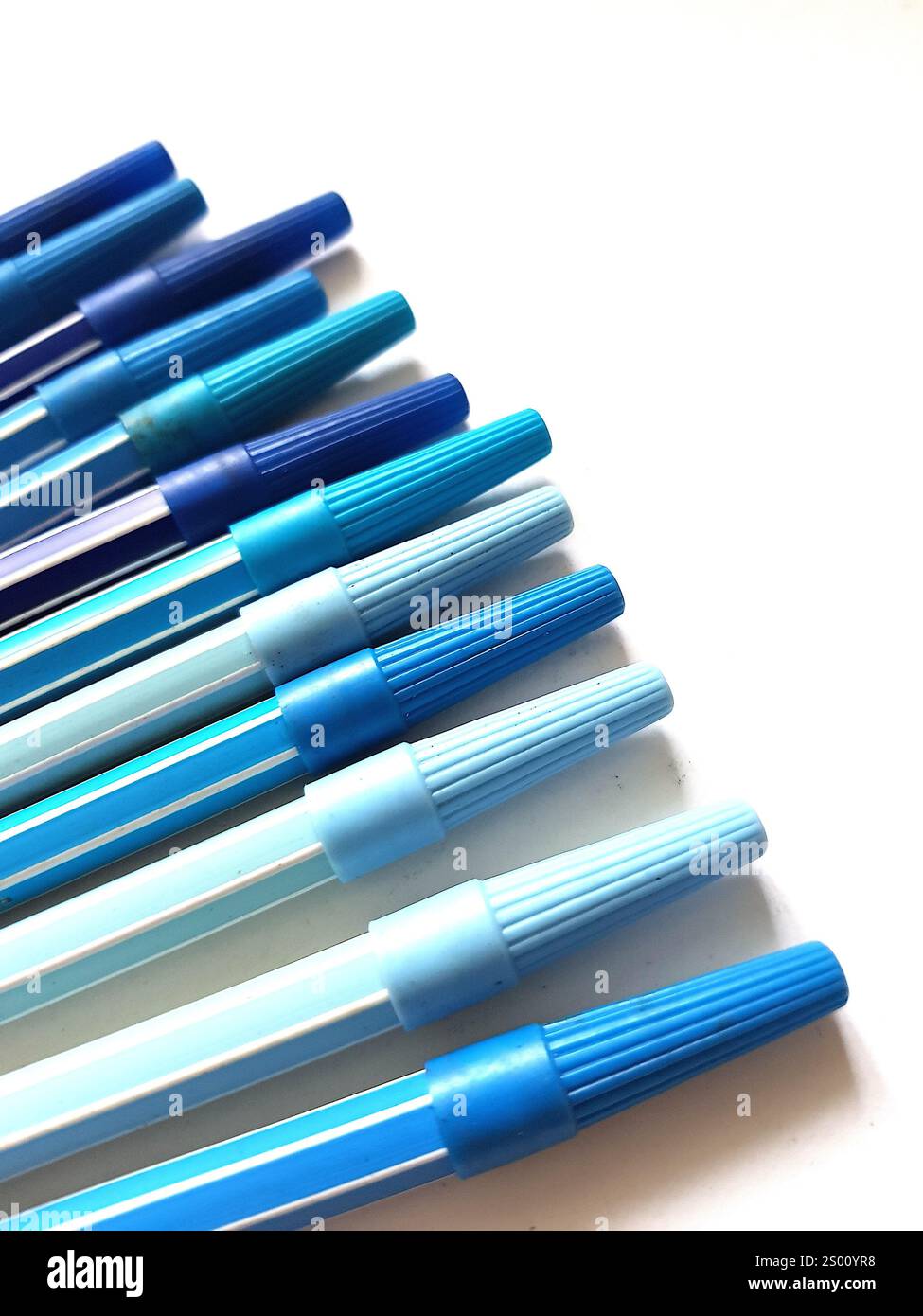 Primo piano di penne blu con punta in feltro su sfondo bianco. Foto Stock