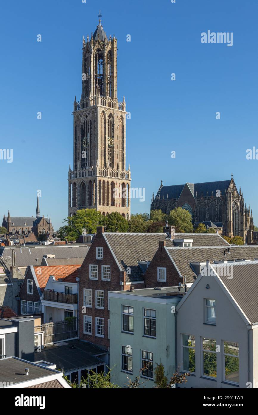 Torre del Duomo 'Domtoren' a Utrecht nel 2024 dopo 5 anni di restauro. Una foto verticale. Foto Stock