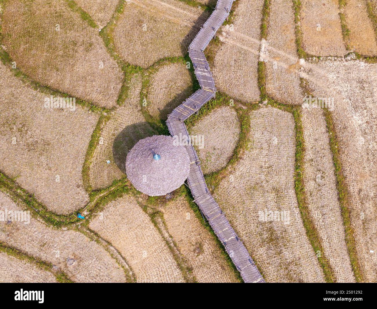 Vista aerea del ponte Kho Ku so Bamboo e dei campi di riso nel nord della Thailandia vicino a Pai Foto Stock