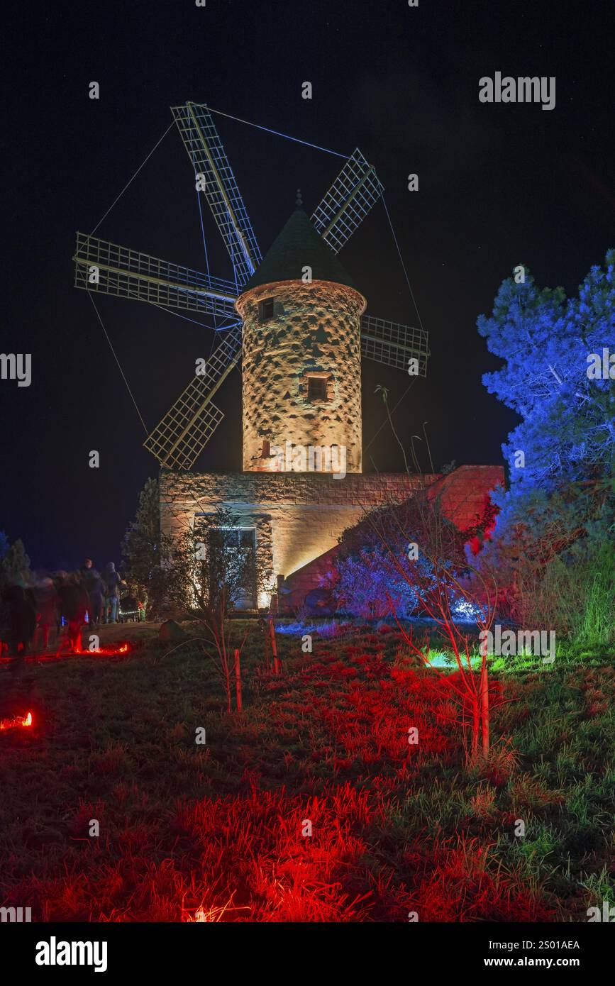 Antico mulino a vento di notte, illuminato artisticamente in rosso e blu, circondato da alberi, mondo di luci, illuminazione, Museo dei mulini, Gifhorn, bassa Sassonia Foto Stock