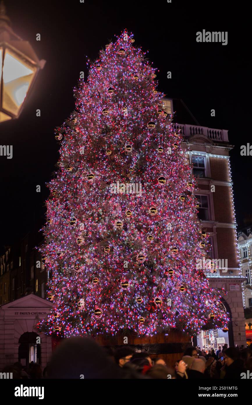 Covent Garden, Londra, 20-12-24. Il tradizionale albero di Natale illuminato al mercato di Covent Garden attira molti turisti nella zona già affollata. Foto Stock