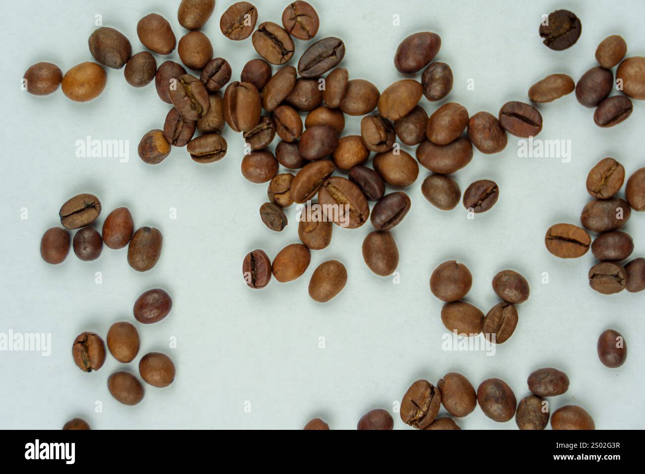 Chicchi di caffè tostati sparsi casualmente su uno sfondo chiaro, creando una composizione semplice e naturale che enfatizza la consistenza e le qualità organiche Foto Stock