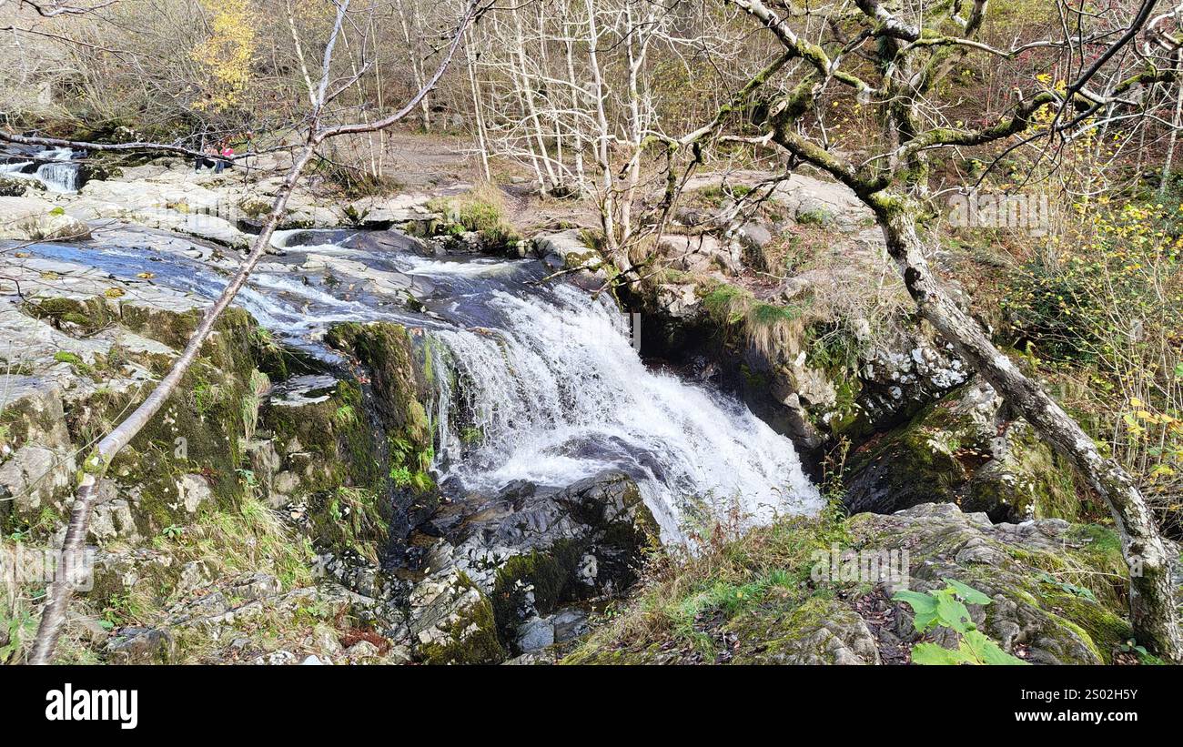 Splendido paesaggio autunnale nel distretto dei laghi della Cumbria Foto Stock