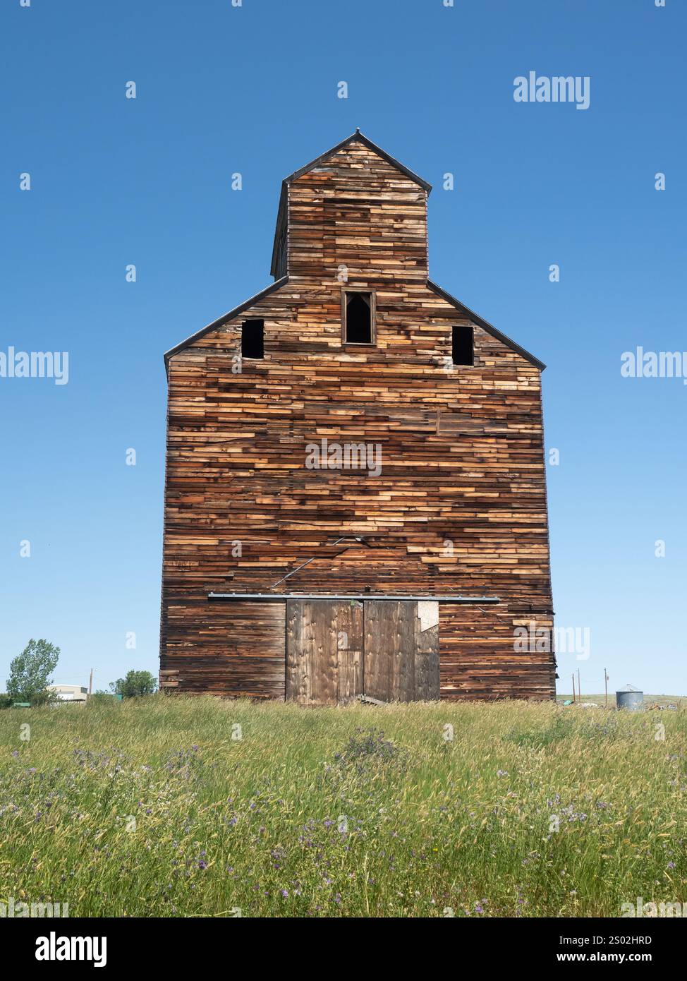 Vecchio ascensore in legno intemprato fotografato dal fronte a Loring, Montana. Foto Stock