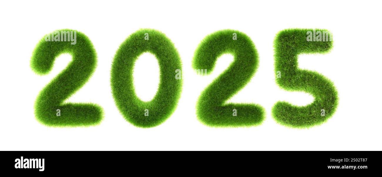 il nuovo anno 2025 concetto di prato isolato su sfondo bianco Foto Stock