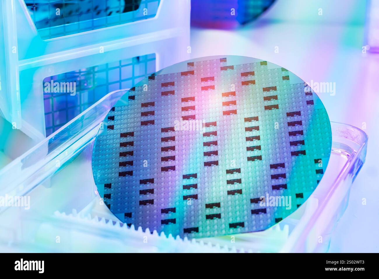 Wafer di silicio realizzato in camera bianca in una scatola di supporto in plastica Foto Stock