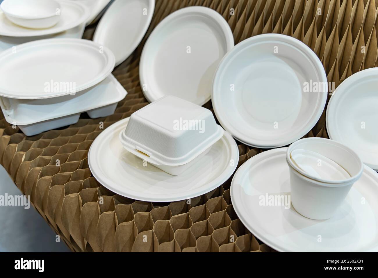 Set di scatola per alimenti in fibra vegetale non sbiancata e tazza di carta. Confezione ecologica in fibra naturale per alimenti e bevande. Foto Stock