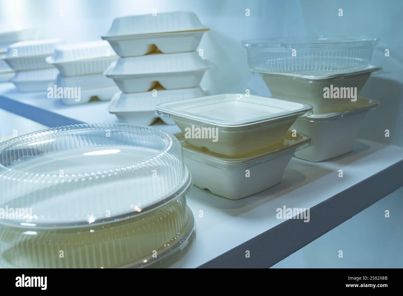 Set di scatole per alimenti in fibra vegetale non sbiancate. Confezione ecologica in fibra naturale per alimenti e bevande. Foto Stock