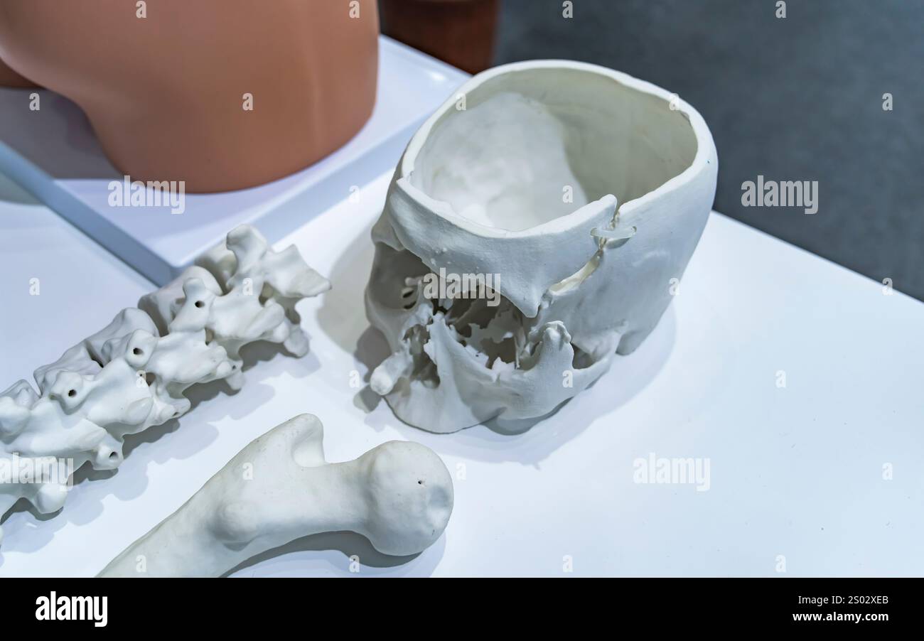 Modello stampato su stampante 3d sotto forma di scheletro, tecnologie additive e concept futuristico Foto Stock