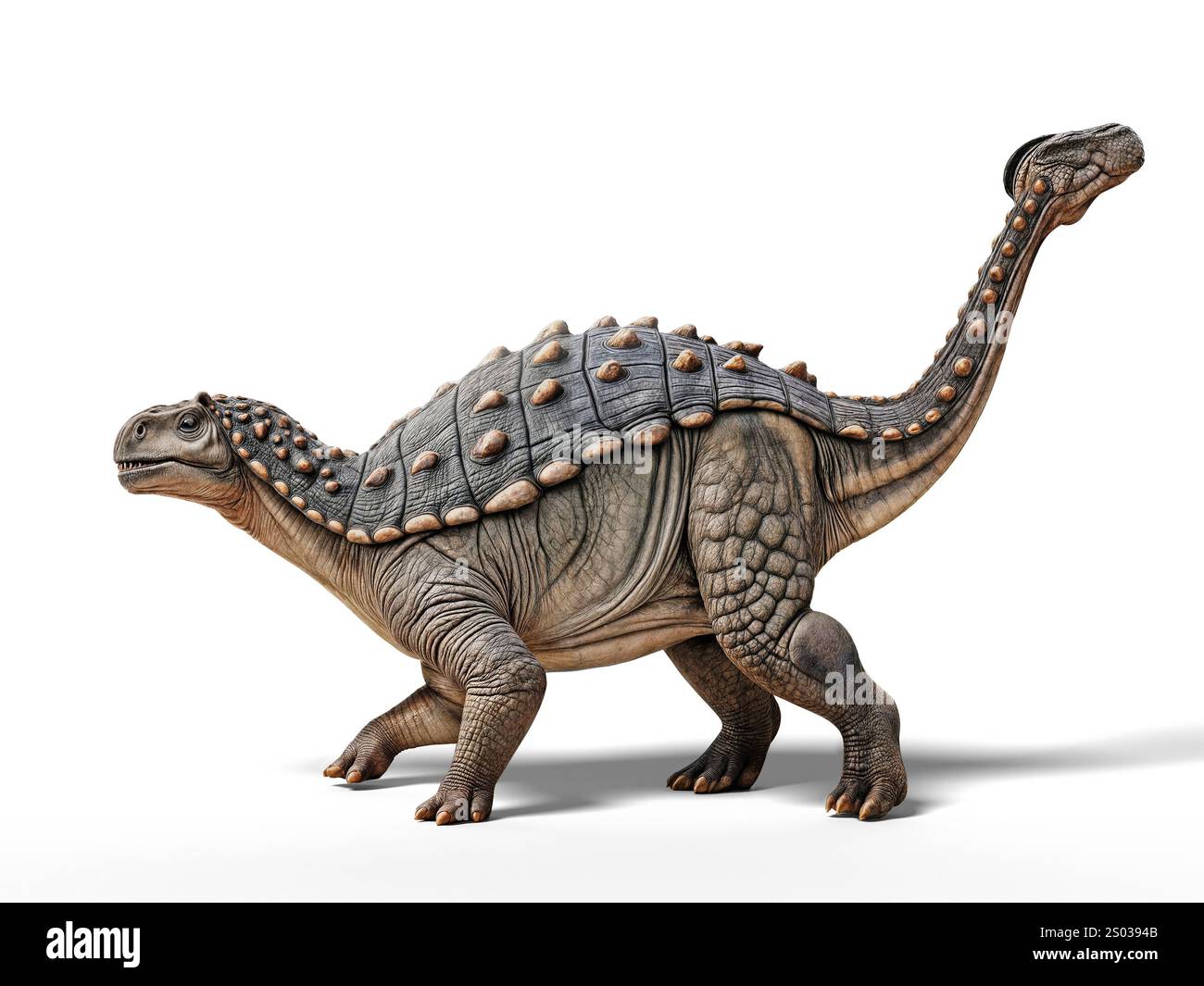 ankylosauro su sfondo bianco, dall'aspetto maestoso. Rendering 3D. Foto Stock