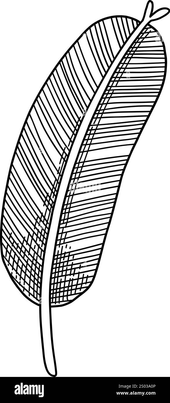 Oggetto piuma di Natale . Illustrazione vettoriale disegnata a mano. Icona di Natale. agnello inciso natalizio, vischio, corona, calze, calze, regalo, abete, pino Illustrazione Vettoriale