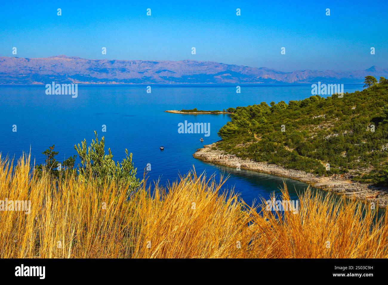 Un viaggio in bicicletta intorno all'isola di Hvar, panorama, spiagge selvagge vicino a Jelsa, un luogo ideale per una pausa vacanza Foto Stock