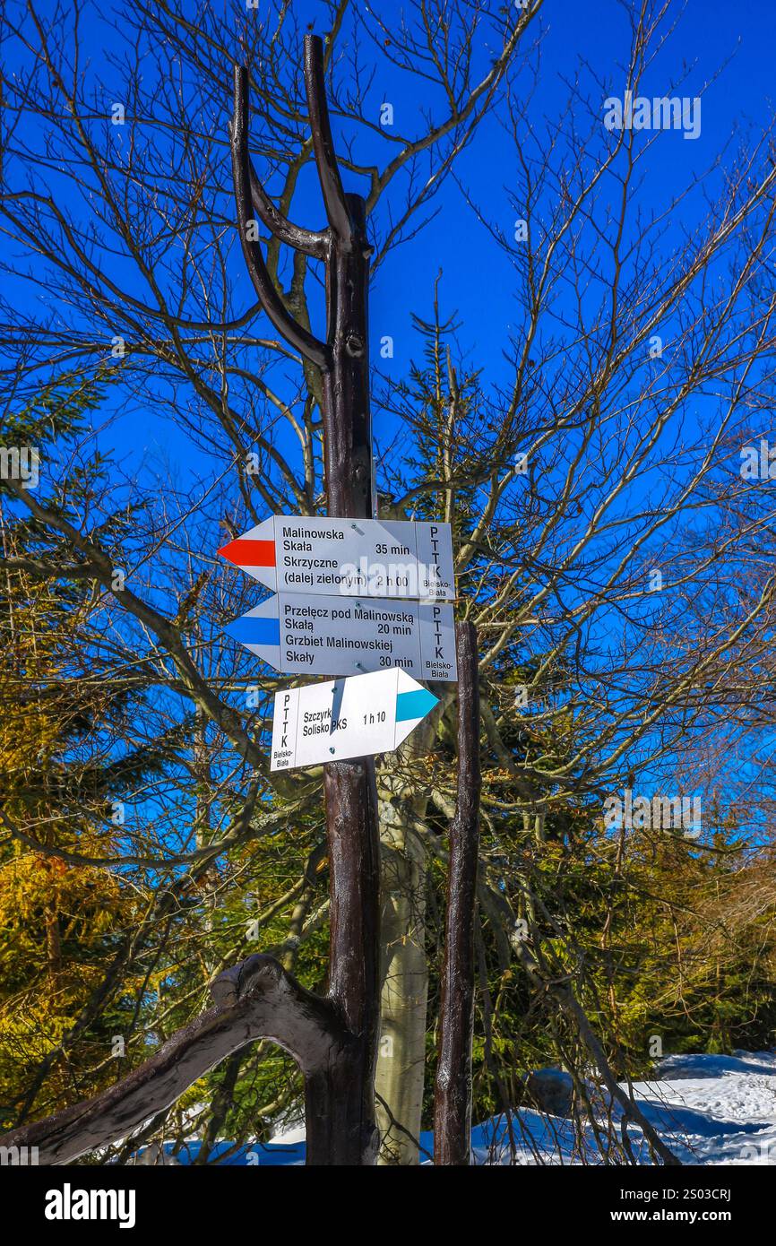 Segnando il percorso per escursioni in montagna, il sentiero che porta a Malinowska Skała nei Beskids della Slesia Foto Stock