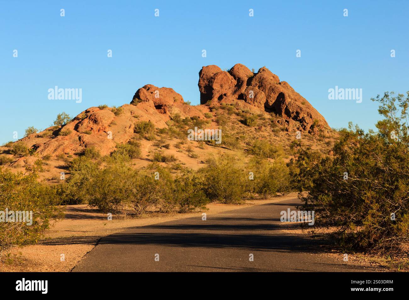 Una strada attraversa un deserto con una grande formazione rocciosa sullo sfondo. Il cielo è limpido e il sole splende Foto Stock