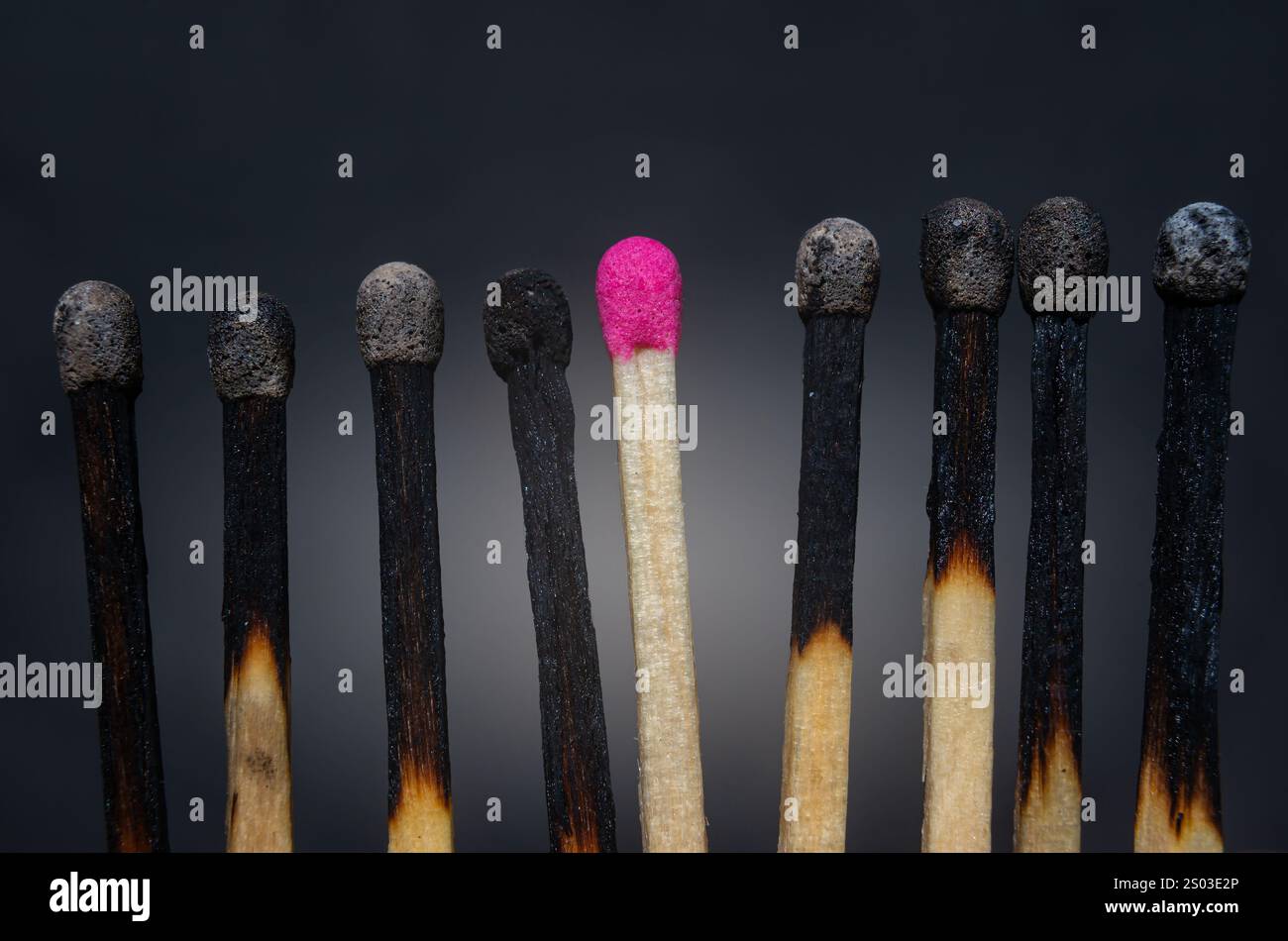 Una partita dai colori vivaci si trova tra una fila di fiammiferi bruciati, a simboleggiare la leadership e l'individualità in un ambiente buio. Foto Stock