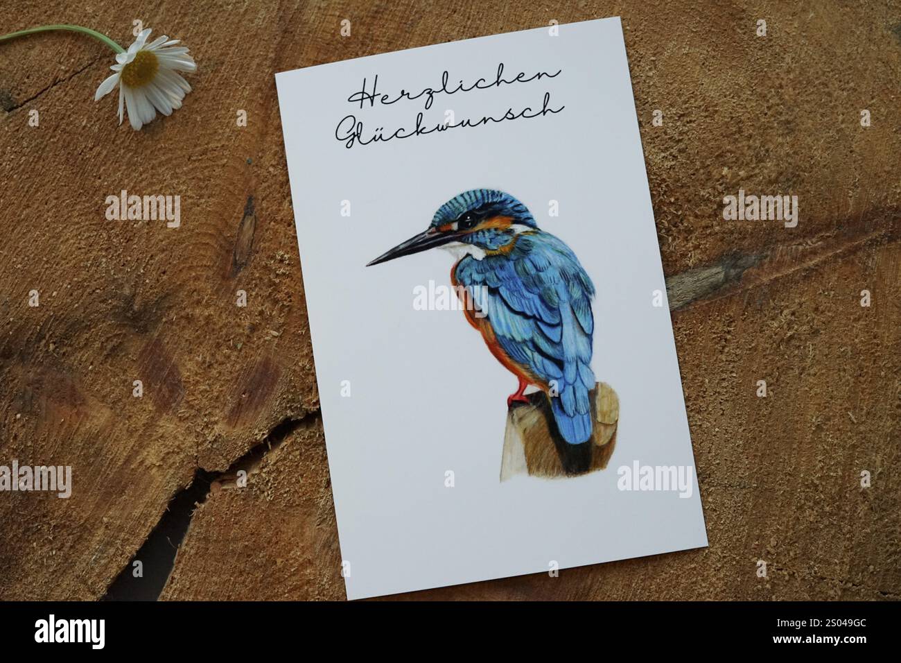 Scheda di congratulazioni Congratulazioni per un kingfisher, dipinto con matite colorate, scheda come foto di prodotto in vendita su Etsy, decorato su un albero dis Foto Stock