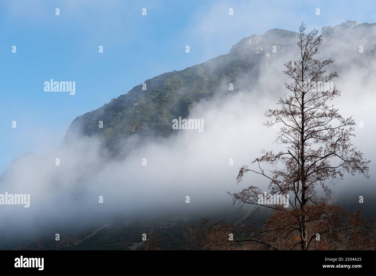 Le nuvole bianche si innalzano e coprono una montagna con vegetazione verde sotto un cielo blu limpido. Vette delle Alpi Giulie, Slovenia Foto Stock