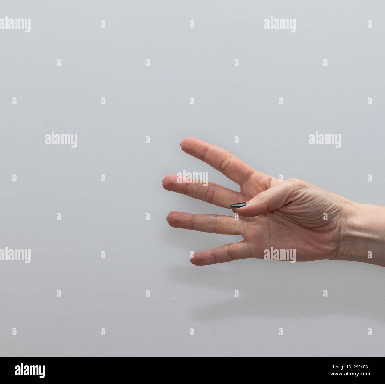 Mano di una donna che mostra quattro dita, posizionate su un morbido sfondo grigio, simboleggiando il numero quattro Foto Stock
