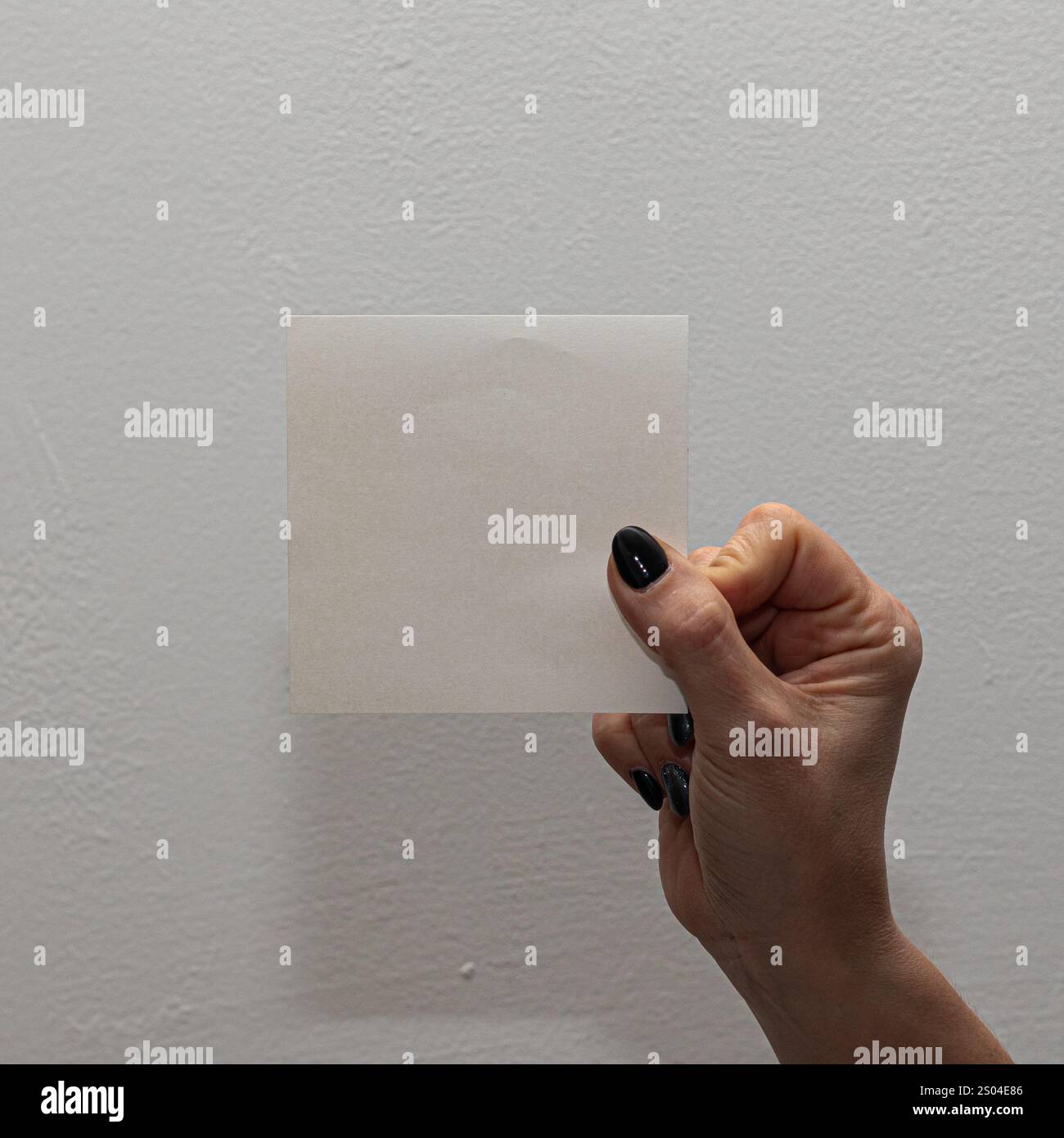 Un'immagine dettagliata che cattura la mano di una donna che presenta un pezzo di carta traslucido, perfetto per la personalizzazione con grafica o testo, contro un neutro, Foto Stock