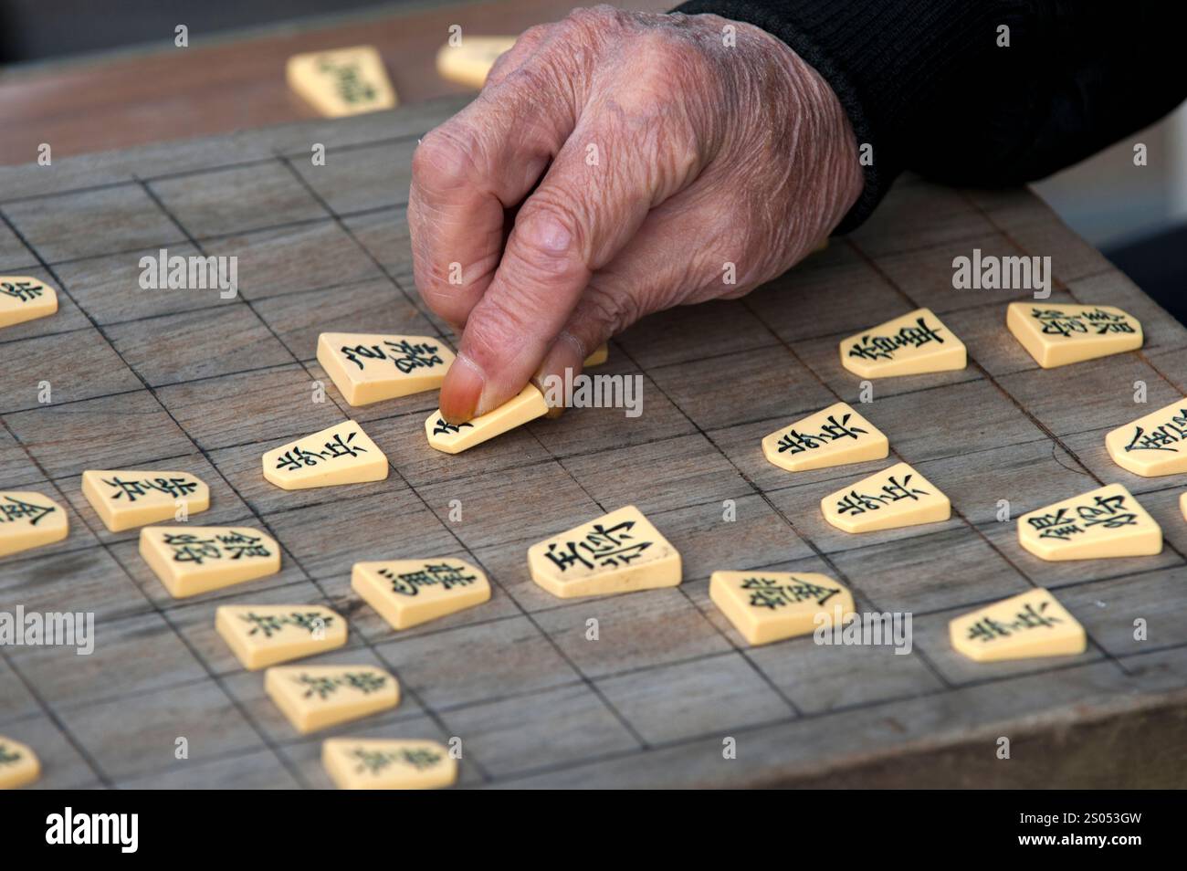 I concorrenti si sfidano a vicenda in un gioco da tavolo strategico chiamato shogi, o scacchi giapponesi, in un parco a Tennoji, Osaka, Giappone. Foto Stock