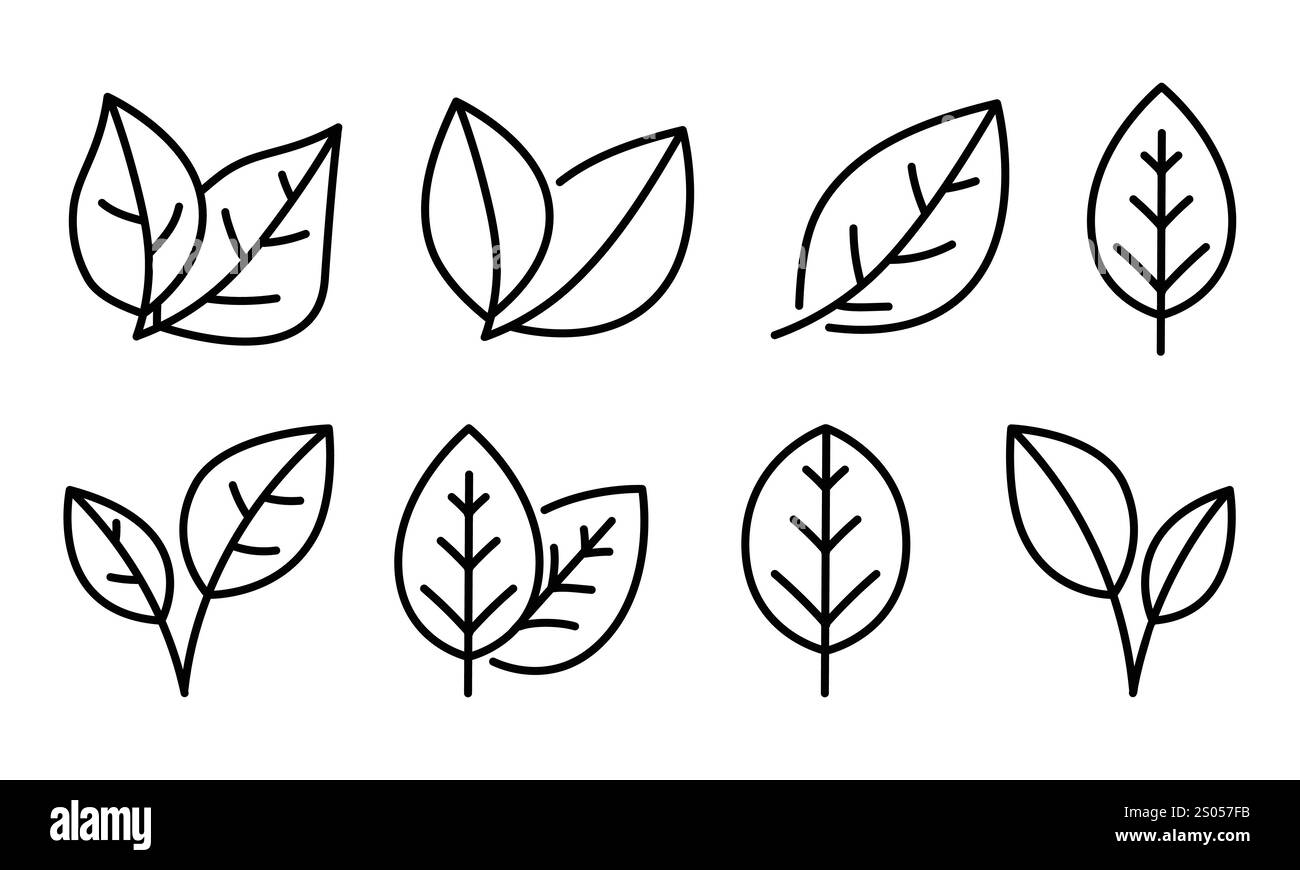 Una collezione di icone lineari di foglie e rami, perfette per design ecologici e ispirati alla natura. Illustrazione Vettoriale