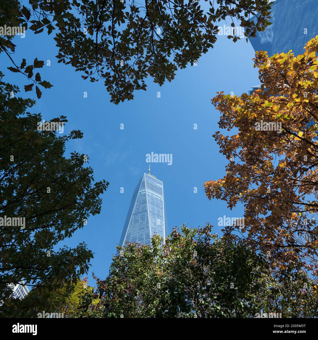 Il One World Trade Center sorge tra gli alberi, presso il Memorial and Museum Grounds del 9/11. Un simbolo sorprendente di resilienza contro un cielo azzurro. Foto Stock