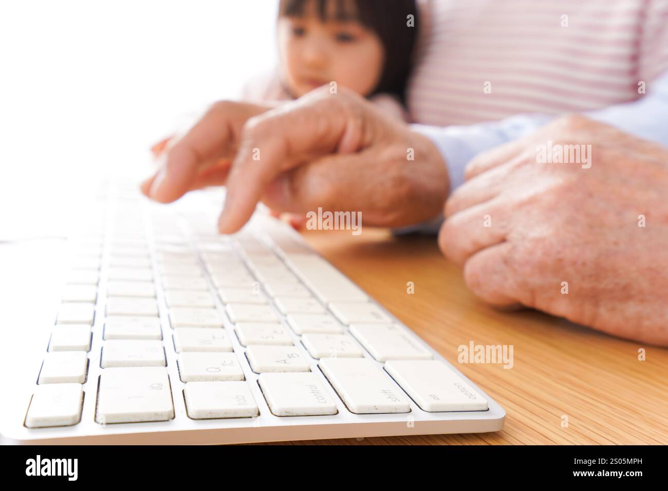 Nonni e figli che usano un computer Foto Stock