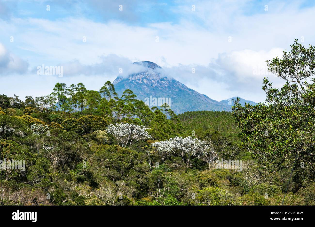 Foresta atlantica ben conservata presso il Parco Nazionale di Caparaó, Stato di Espírito Santo, Brasile. Foto Stock