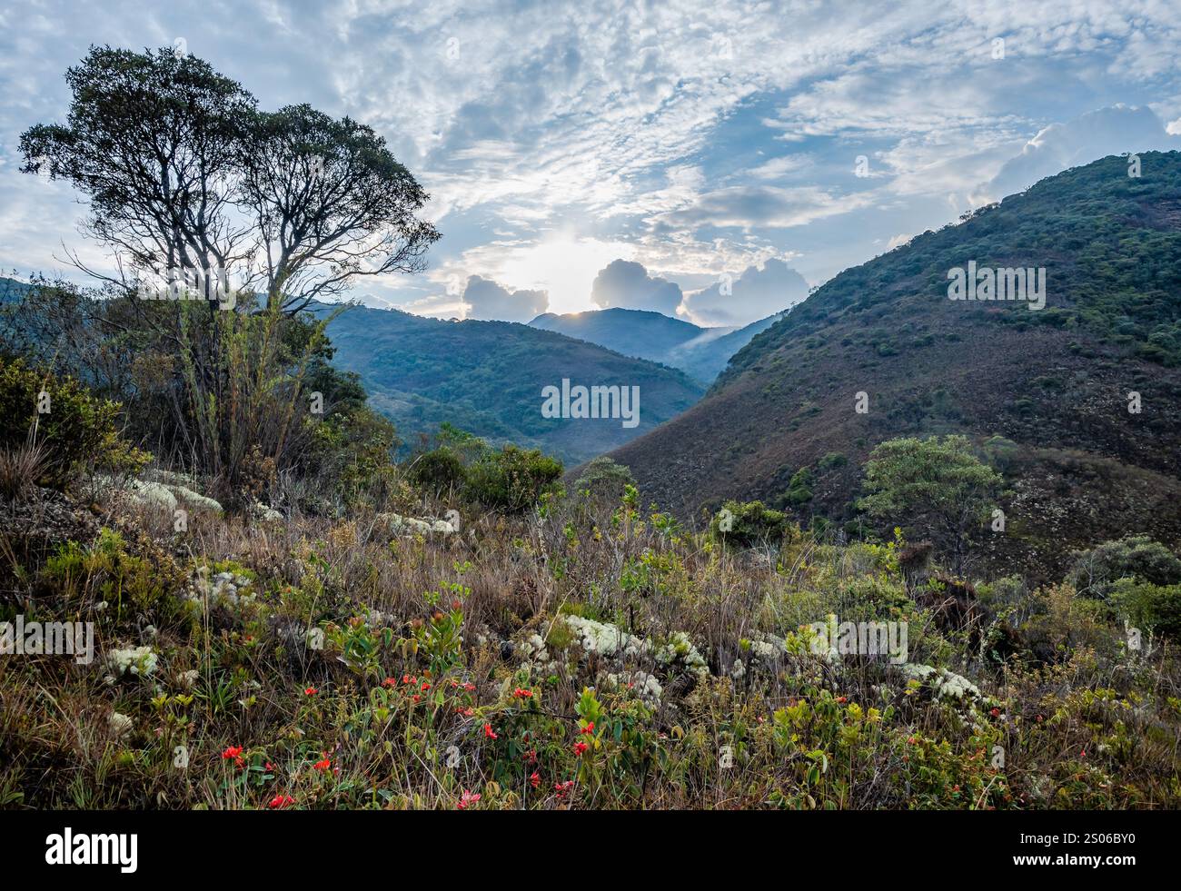 Foresta atlantica ben conservata presso il Parco Nazionale di Caparaó, Stato di Espírito Santo, Brasile. Foto Stock