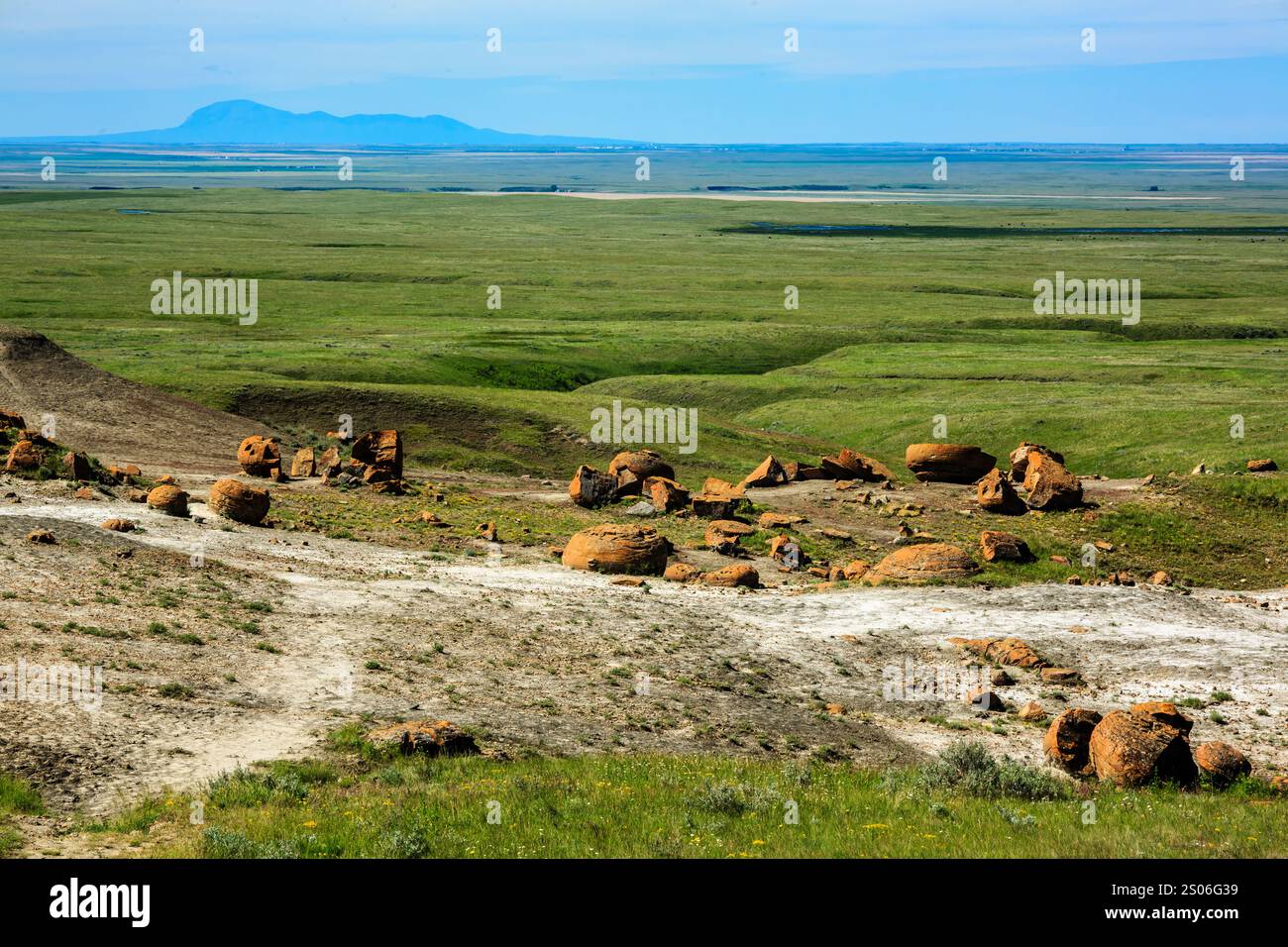 Un grande campo vuoto con una montagna sullo sfondo. Il campo è ricoperto di erba e rocce Foto Stock