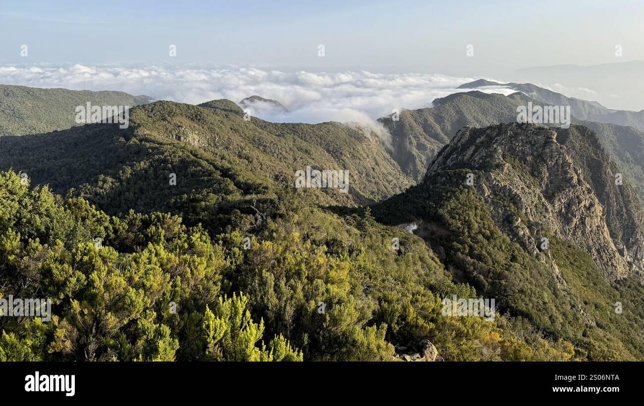 Los Roques, impressionanti torri di roccia, Monumento Natural de los Roques, la Gomera, Isole Canarie, Spagna, Europa Foto Stock