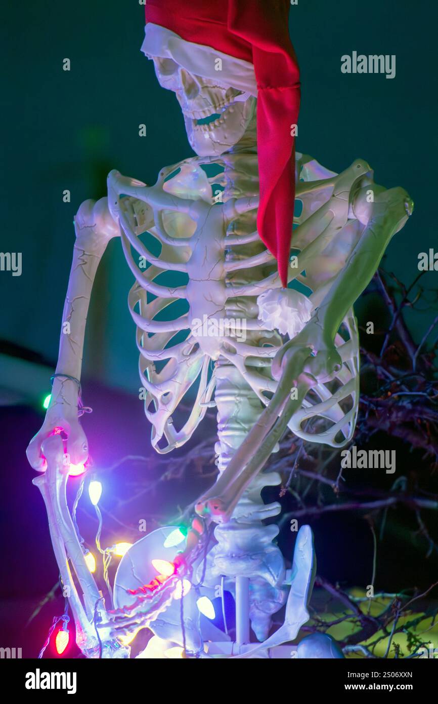 Scheletro che indossa un cappello di Babbo Natale adornato da colorate luci natalizie in un ambiente festoso Foto Stock